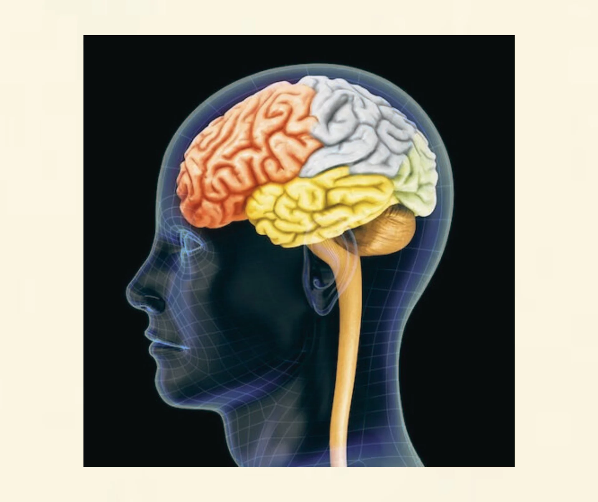 Darstellung von Bewusstsein, Unterbewusstsein und Unbewusstem – Erklärung wie Hypnose funktioniert