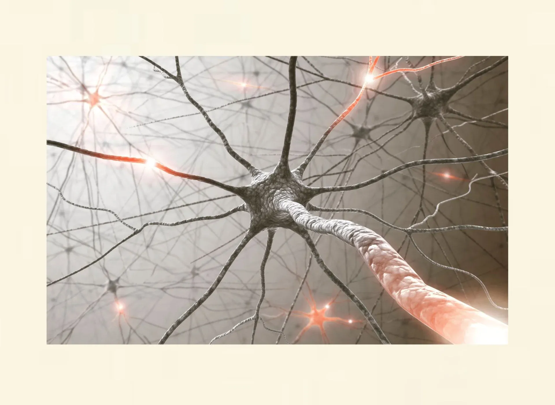 Illustration des Nervensystems zur Erklärung von Angstreaktionen